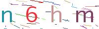Verify Code