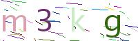 Verify Code