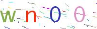 Verify Code