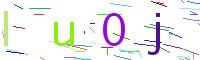 E hōʻoia i ka code