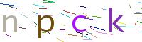 Verify Code