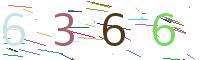 Verify Code