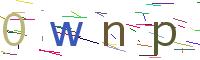 Verify Code